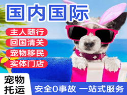 大兴空运代理国际宠物托运 【国